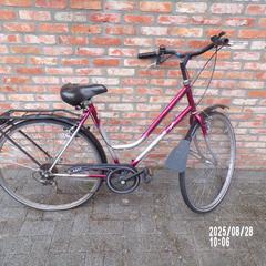 Bicicleta , grijs, bordeaux, merk Novy, damesmodel, ha sido reportado por Fietsdepot Leopoldsburg con iLost