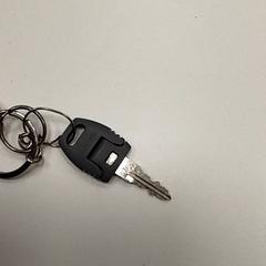 Nøkkel, som rapportert av ilévia ved bruk av iLost