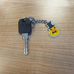 Klucz, zgłoszono przez RRReis Veluwe Zuid - Ede przy użyciu iLost