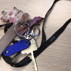 Chiave, come riportato da Gemeente Arnhem utilizzando iLost