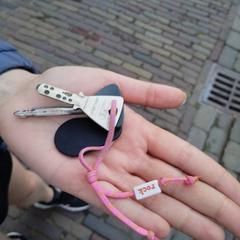 keys pink keychain rock Oudegracht Utrecht, segons s'ha informat a iLost