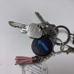 Nyckel meerdere, rapporterat av IKEA Hengelo med iLost