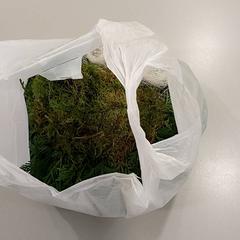 Plastic zak, come riportato da Regio Limburg - Leuven utilizzando iLost