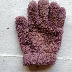 Rękawica, zgłoszono przez DierenPark Amersfoort przy użyciu iLost