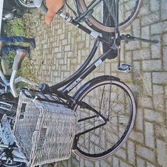 Damenrad, gemeldet von Gemeente Roermond über iLost