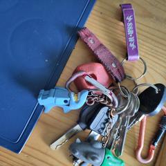 Sleutelbos met SSRlabel, come riportato a iLost