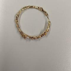 Boucle d'oreille, a été signalé par Padualaan 99 utilisant iLost