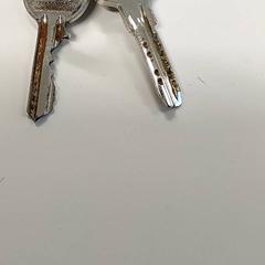 Sleutels, a été signalé par Centraal magazijn utilisant iLost