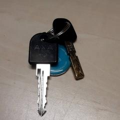 Clau, segons ha informat Arriva Oost-Brabant mitjançant iLost