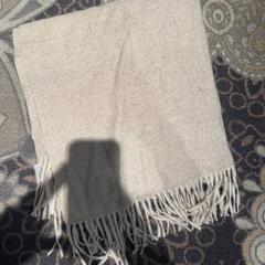 Xal taupe, segons ha informat Van der Valk Hotel Assen mitjançant iLost