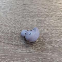 Earbud Earbud, as reported by EBS OV Poeldijk using iLost
