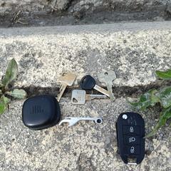 Key case with keys, segons s'ha informat a iLost