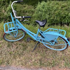 Fiets, ako bolo nahlásené iLost