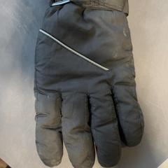 İLost kullanarak Burgers' Zoo tarafından bildirildiği gibi Eldiven Zwart