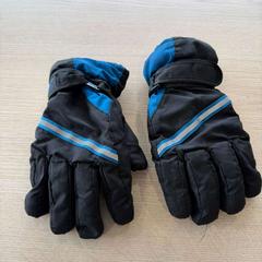 Handskar, rapporterat av Van Heugten Tours med iLost