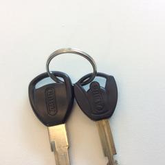 Sleutels, gemeldet von Gemeente Barneveld über iLost