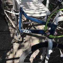 Kinderfiets incompleet, as reported to iLost