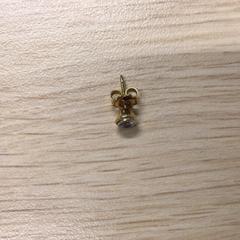 귀걸이, iLost를 사용하여 Gemeente Arnhem에 보고됨