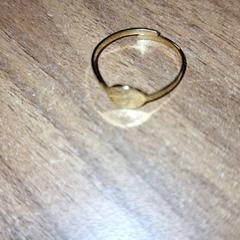 Anell, segons ha informat Qbuzz DMG mitjançant iLost