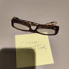 Ulleres, segons ha informat Bibliotheek Neude (Utrecht) mitjançant iLost