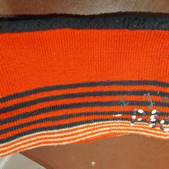 ネックポーチ rouge がiLostで TCL によって報告されました