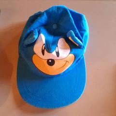 Pet Blauw Sonic, zoals gemeld door Familiepark Drievliet met iLost