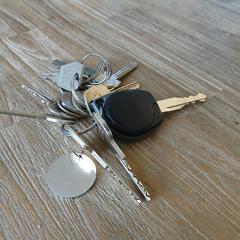 Sleutelbos, jak zgłoszono do iLost