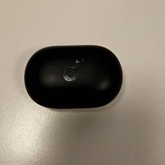 Oortjes, ako bolo nahlásené Vrije Universiteit Amsterdam pomocou iLost