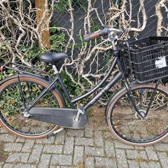 Damesfiets, som rapporterats till iLost