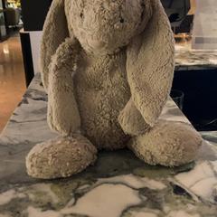 Mysig leksak Fluffy toy, rapporterat av Van der Valk Hotel Heerlen med iLost