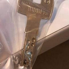 Sleutel, come riportato da St. Antonius Ziekenhuis Woerden utilizzando iLost