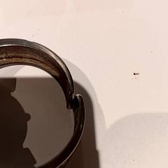 손목 시계, iLost를 사용하여 De Efteling에 보고됨