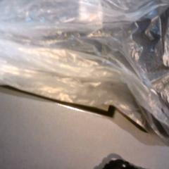 Knuffel tekkel, as reported by SnowWorld Landgraaf using iLost