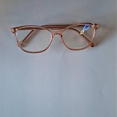 Glasögon, rapporterat av Keukenhof med iLost