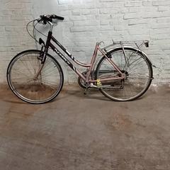 Bike Thompson Rood/roze, as reported by Fietsdepot Hasselt using iLost