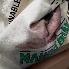 Sack, gemeldet von Qbuzz Fryslân über iLost