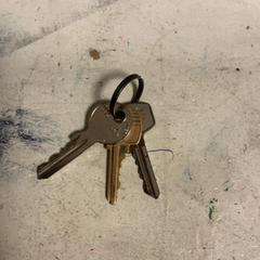 Nyckel Drie sleutels, rapporterat av Artis med iLost