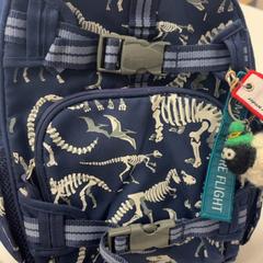 Bag, as reported by GVB using iLost