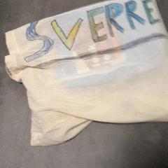 Väska, rapporterat av Transdev Hoeksche Waard Goeree Overflakkee med iLost