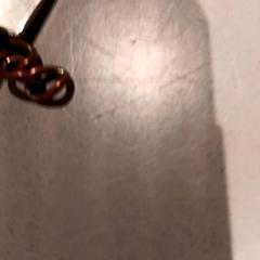 Clau, segons ha informat De Efteling mitjançant iLost