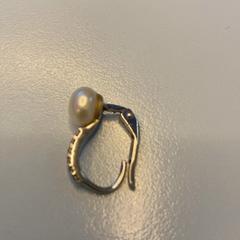 Ørering, som rapportert av UMC Utrecht ved bruk av iLost