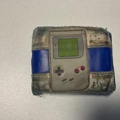 Cartera Theunissen, segons ha informat Breng Arnhem mitjançant iLost