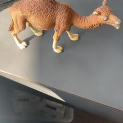 Speelgoed Kameel، كما تم الإبلاغ عنه بواسطة Burgers' Zoo عبر iLost