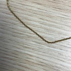 Kettinkje, segundo informou Diakonessenhuis Utrecht usando iLost