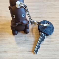 Gakoa zwart, gisa salatu by Gemeente Leopoldsburg iLost erabiliz