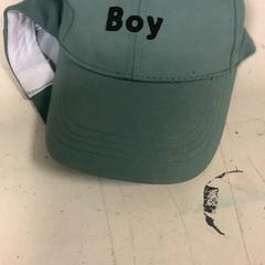 Gorra Groen, ha sido reportado por Artis con iLost