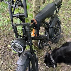 Fatbike souris がiLostに報告されました