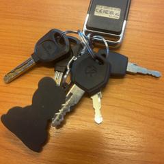 Clave, segundo informou Blauwnet Zwolle usando iLost