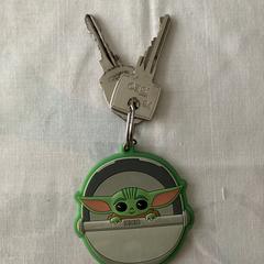 Sleutelbosje, as reported to iLost