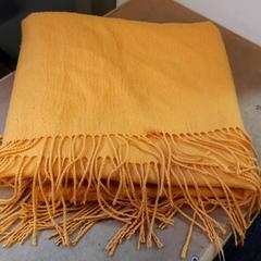 ショール Geel がiLostで Connexxion Zeeuws-Vlaanderen によって報告されました